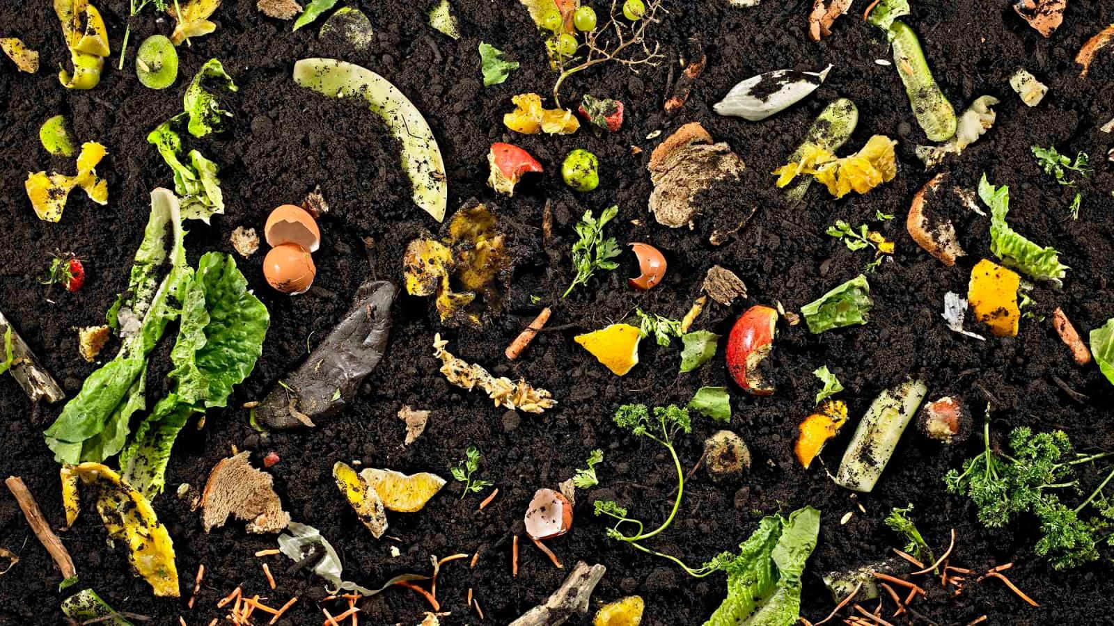 A Heap of Rich, Nutritious Compost Wallpaper