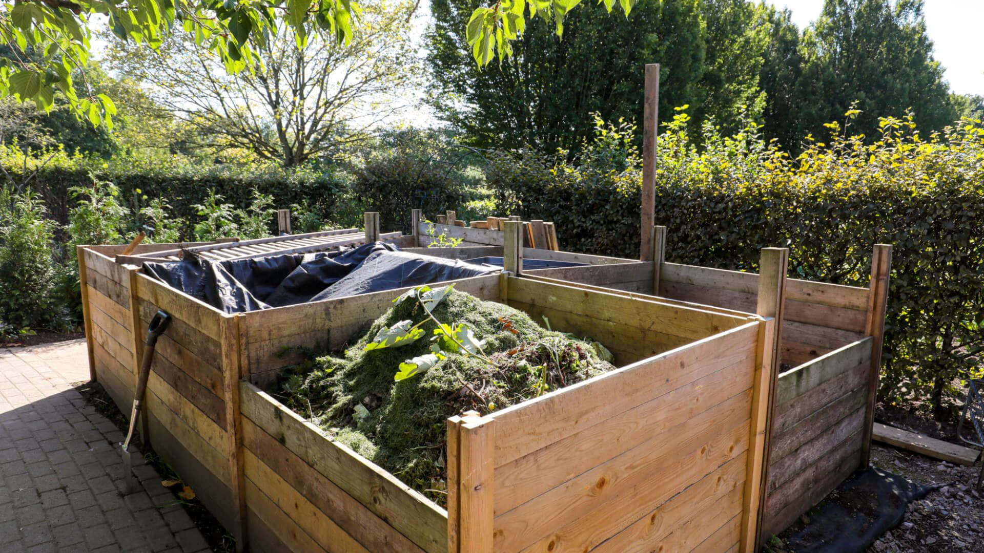 A fresh compost pile in a garden setting Wallpaper