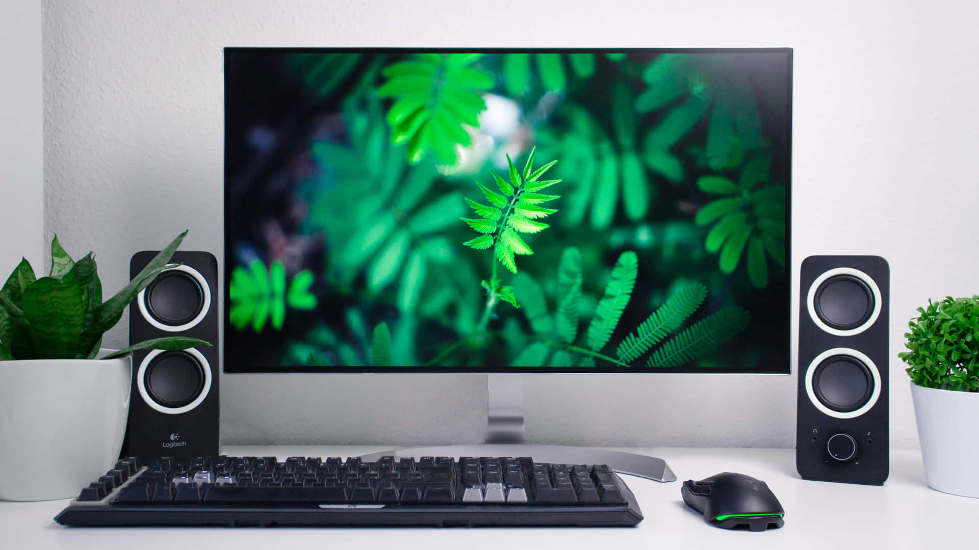 Computer Monitor Green Leaves Background