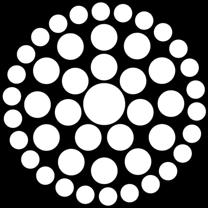 Concentric Circles Blackand White Pattern PNG