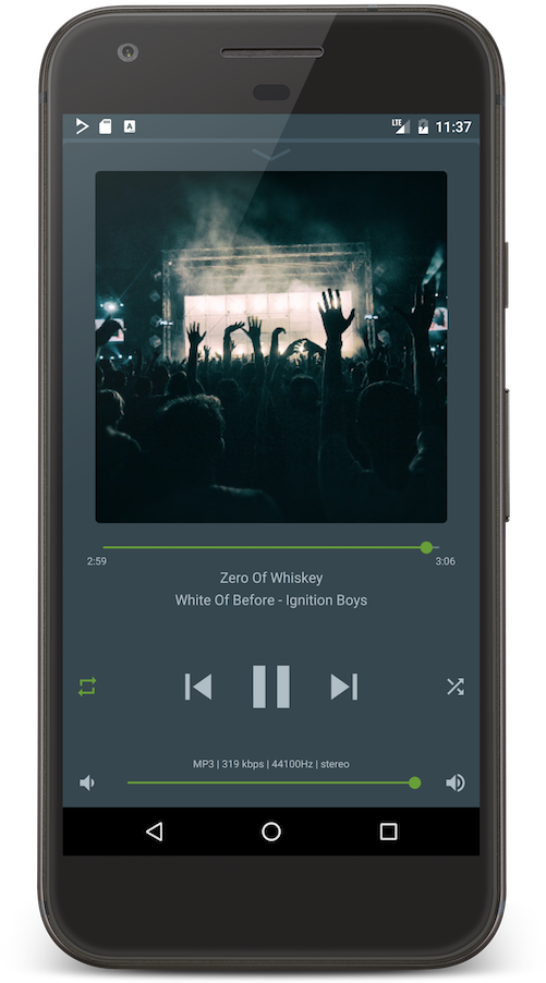 Concert Crowd_ Music Player App_ Screen PNG