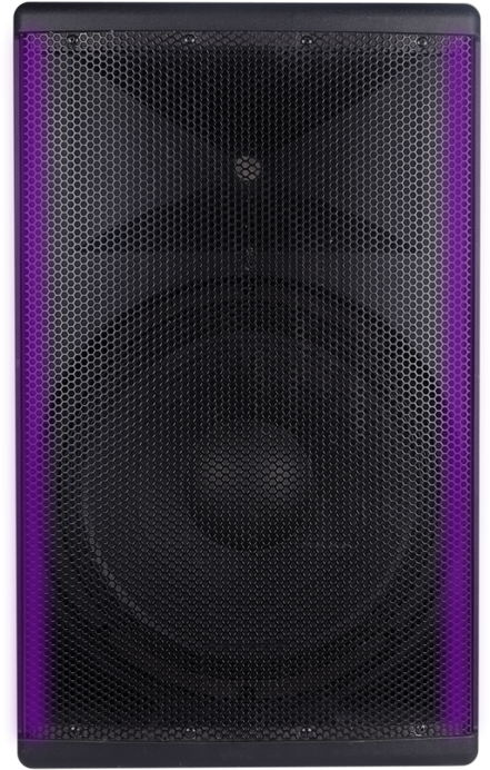 Concert Speaker Closeup.jpg PNG