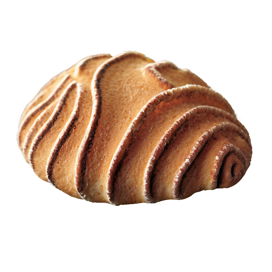 Concha With Cinnamon Sugar Png 06122024 PNG