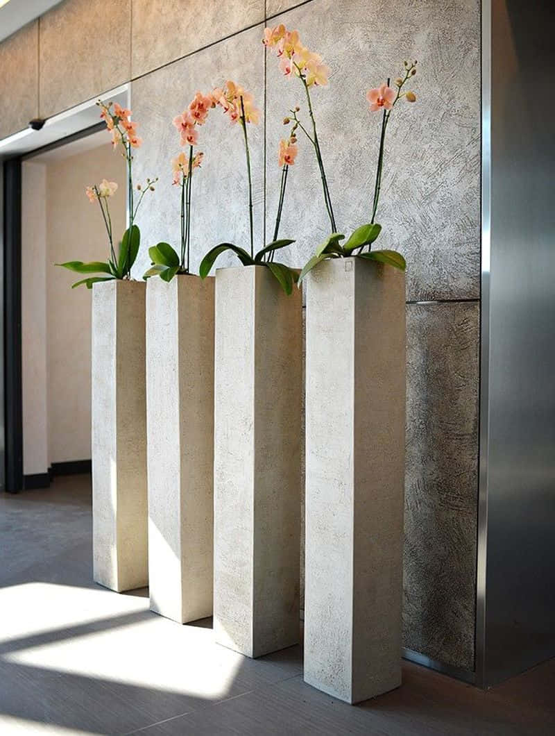 Imagende Una Caja De Plantas De Concreto Con Orquídeas.