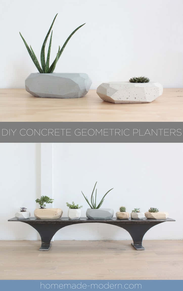 Concrete Planters Picture