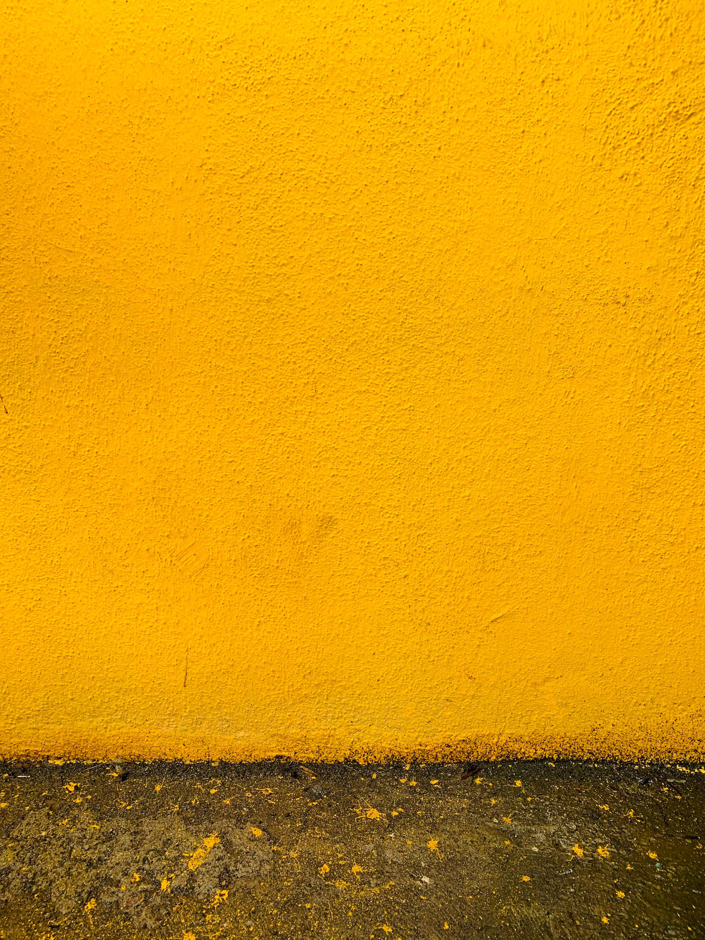 Concrete Texture Mustard Yellow Wall Wallpaper