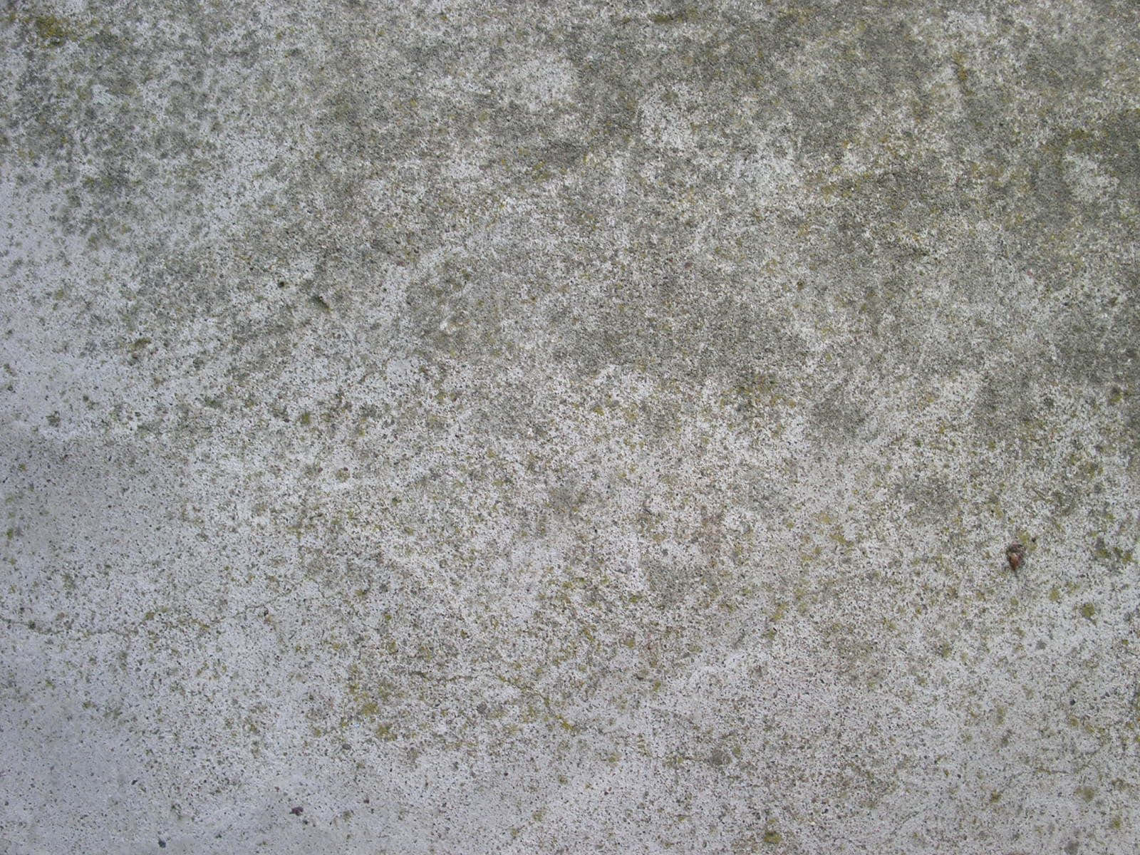 "Textural Gray Concrete Wall"