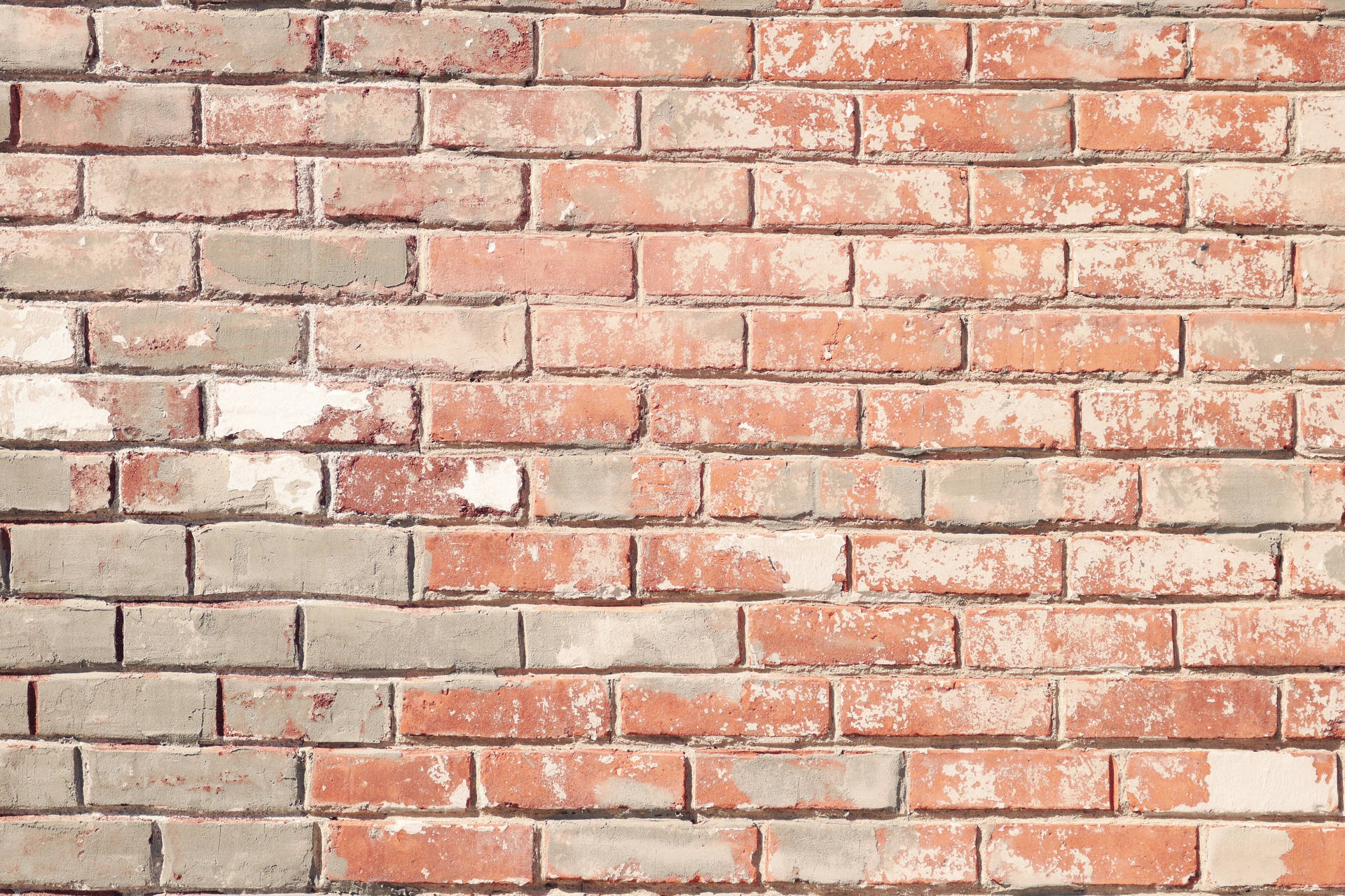 "Aesthetic Pink Brick Wall With Concrete Texture" Wallpaper