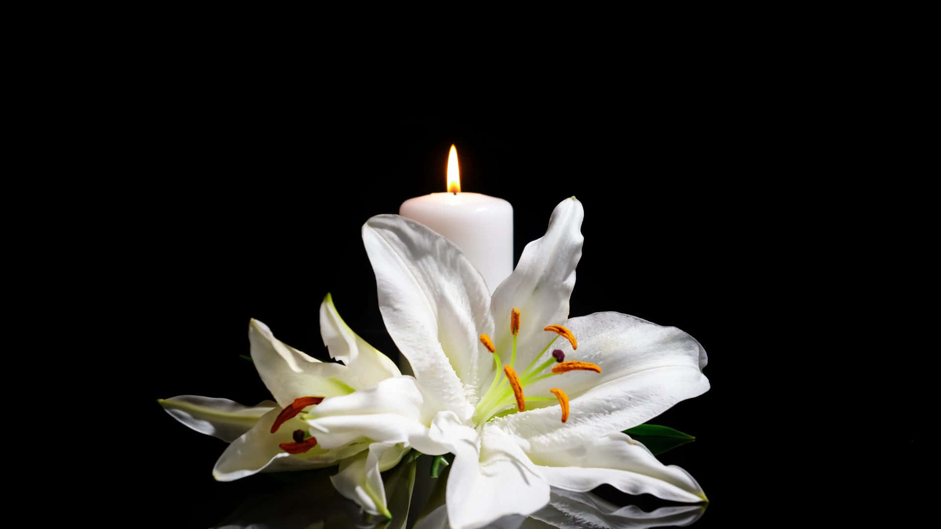 White Lily And Candle On Black Background