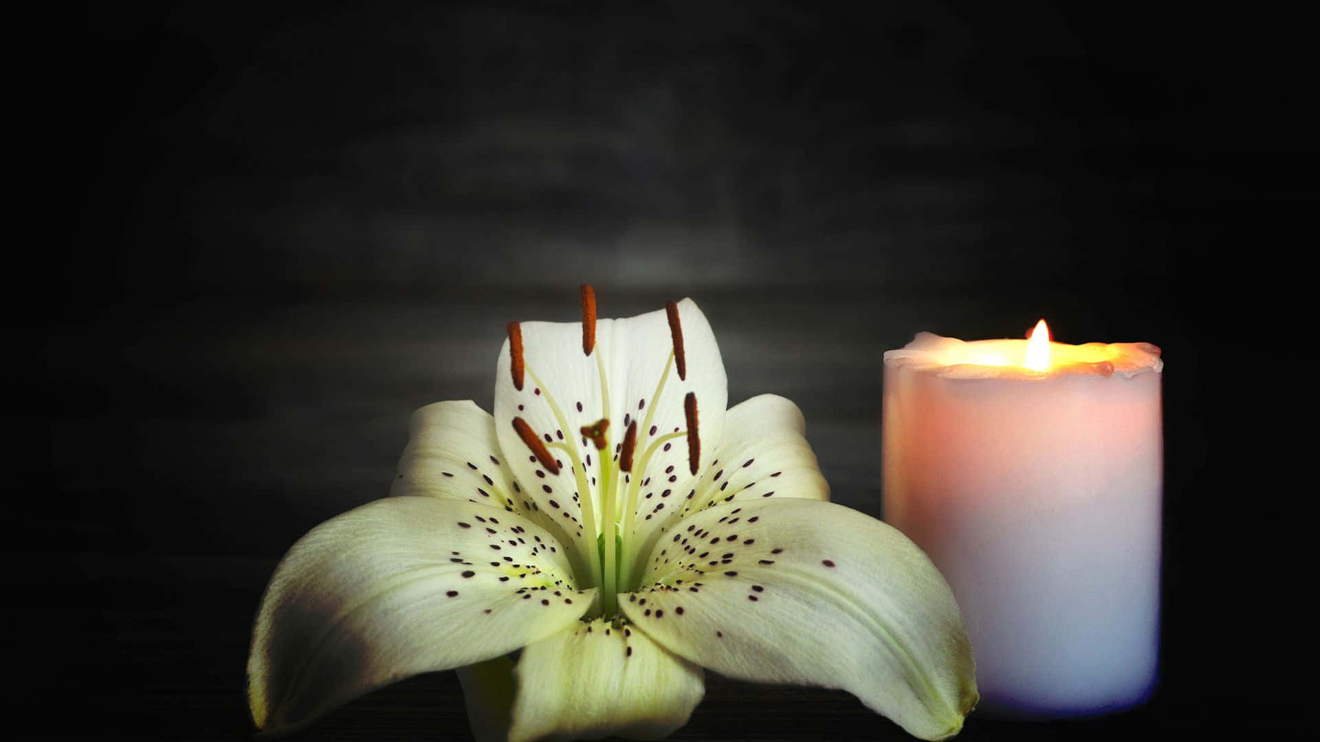A White Lily And A Candle On A Dark Background