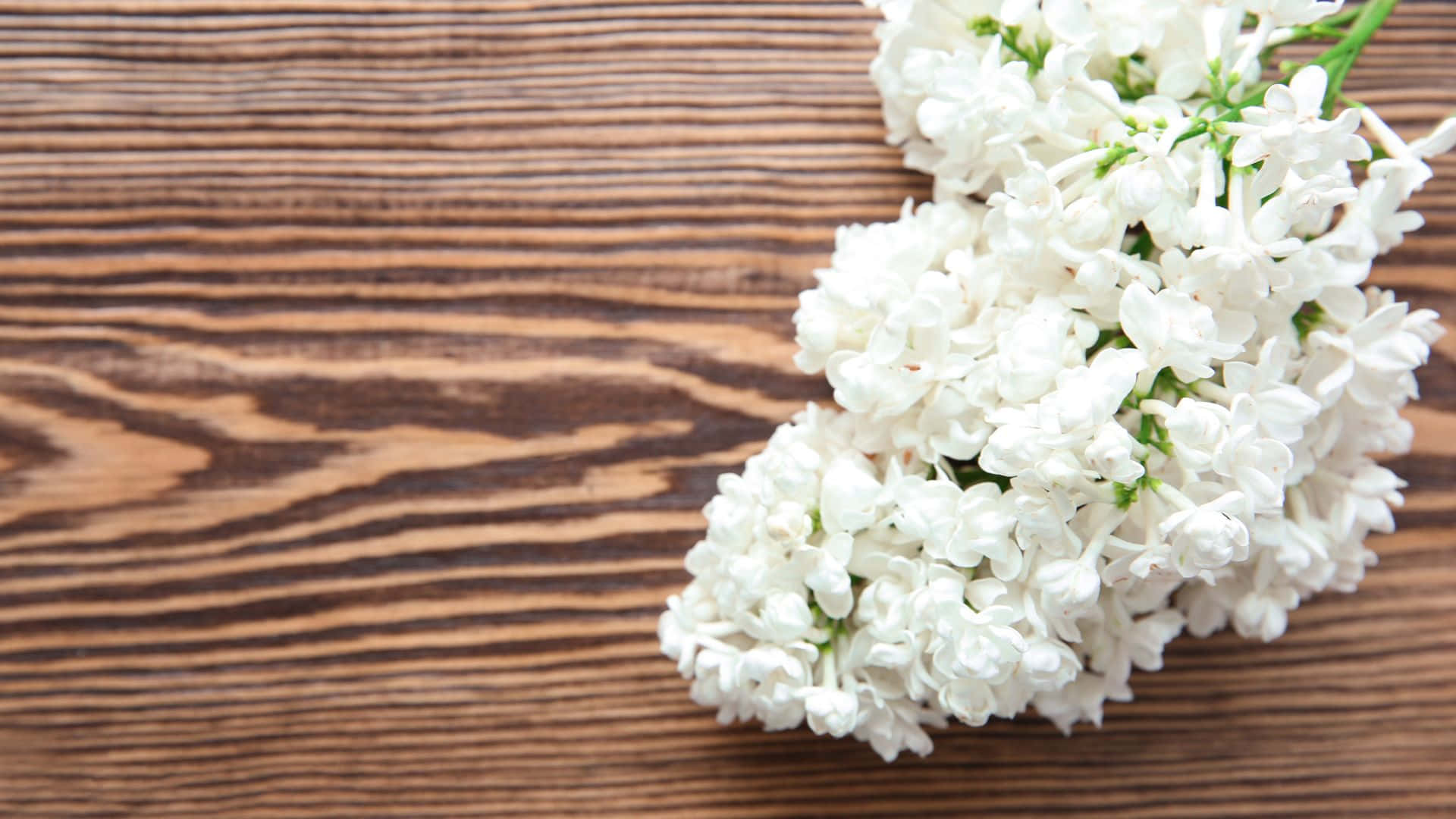 White Lilac Flowers On A Wooden Table