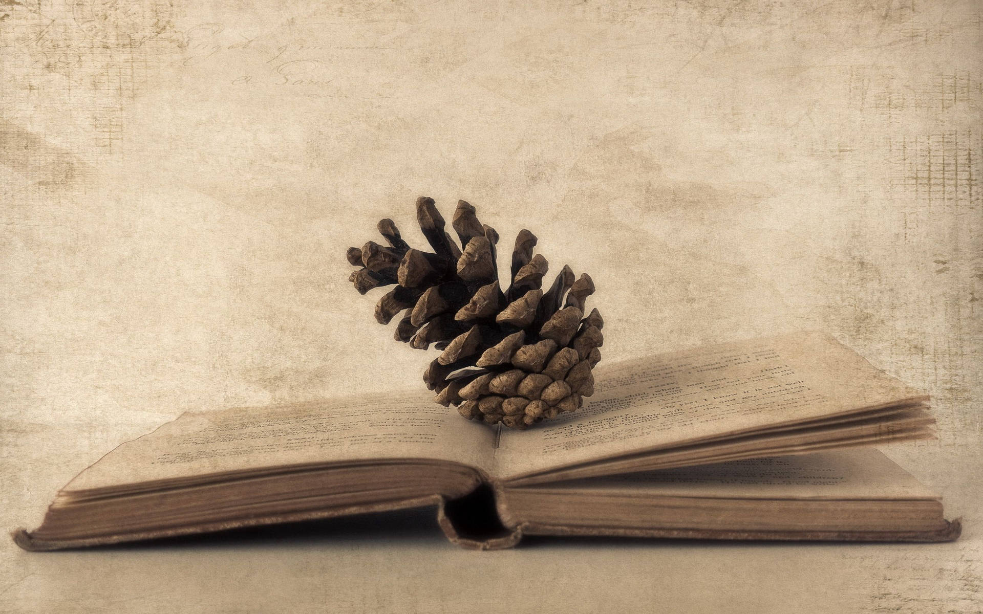 Cones On Book Photo