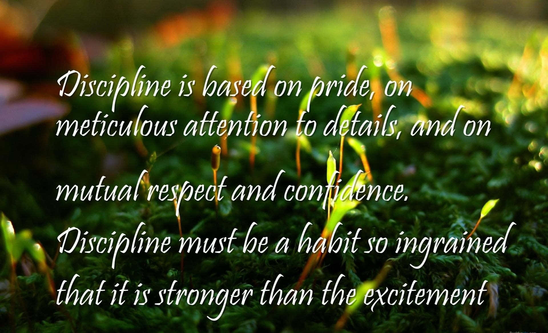 A Quote About Discipline That Says, Discipline Is Based On Pride On Meditative Attention To Detail Wallpaper