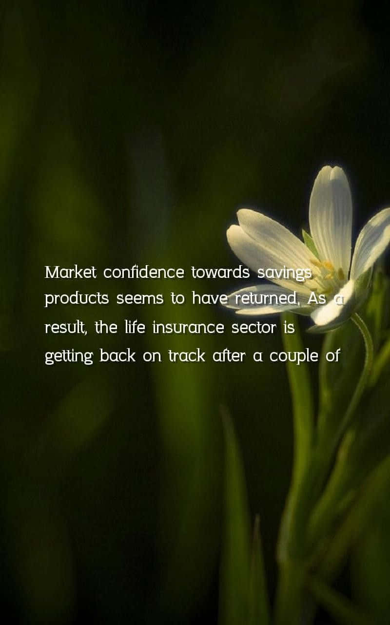 White Flower Market Confidence Quote Wallpaper