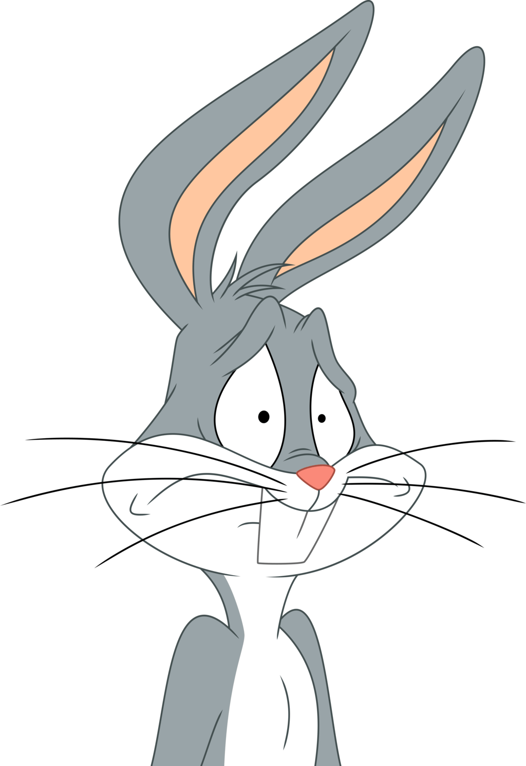 Confused Cartoon Bunny PNG