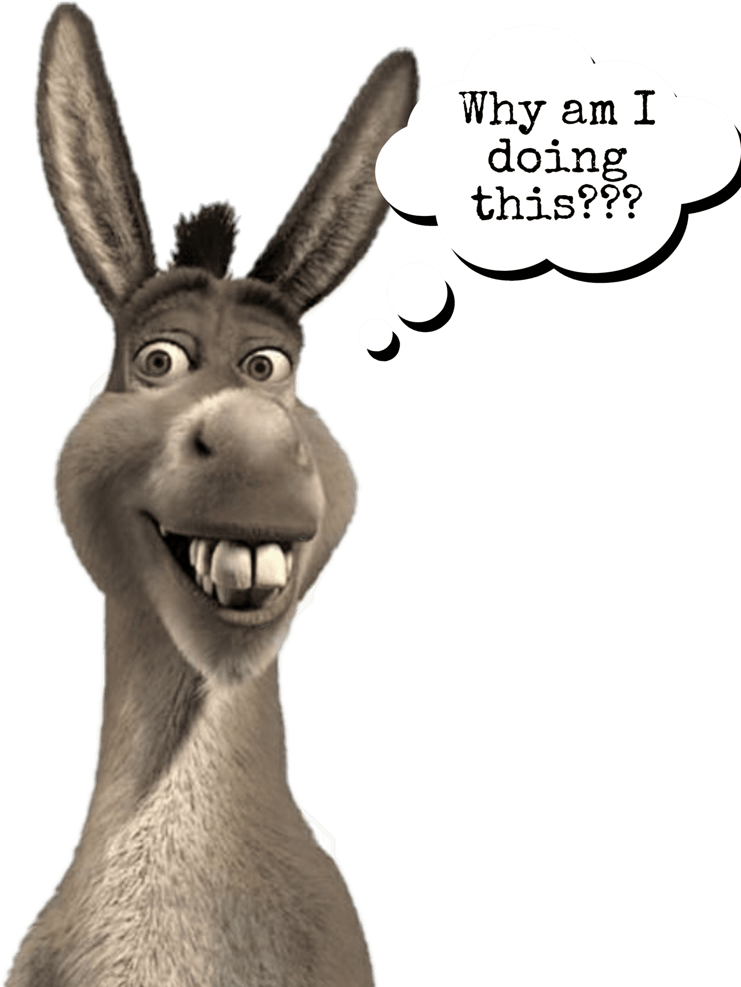 Confused Donkey Cartoon Character PNG