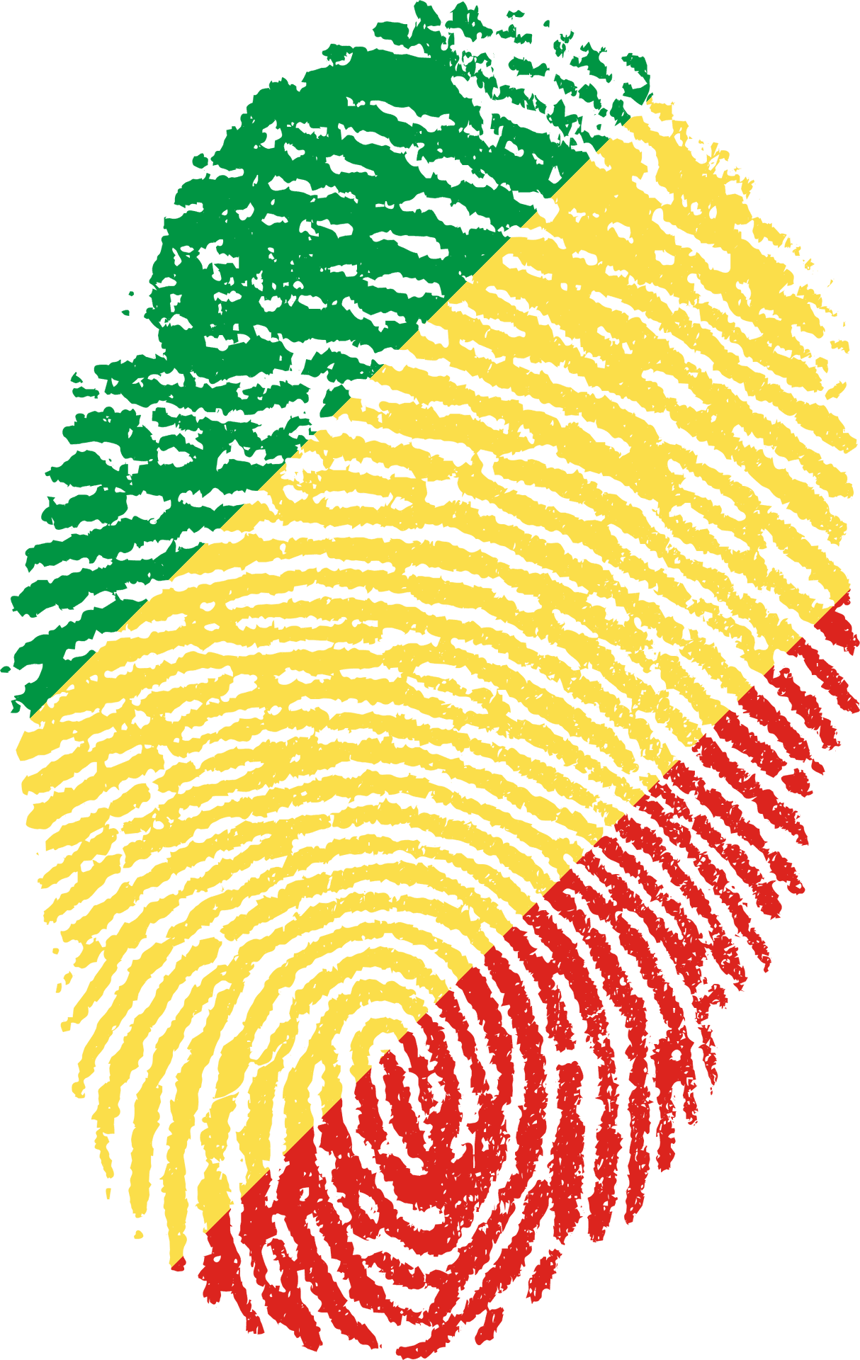 Congo Flag Fingerprint Pattern PNG