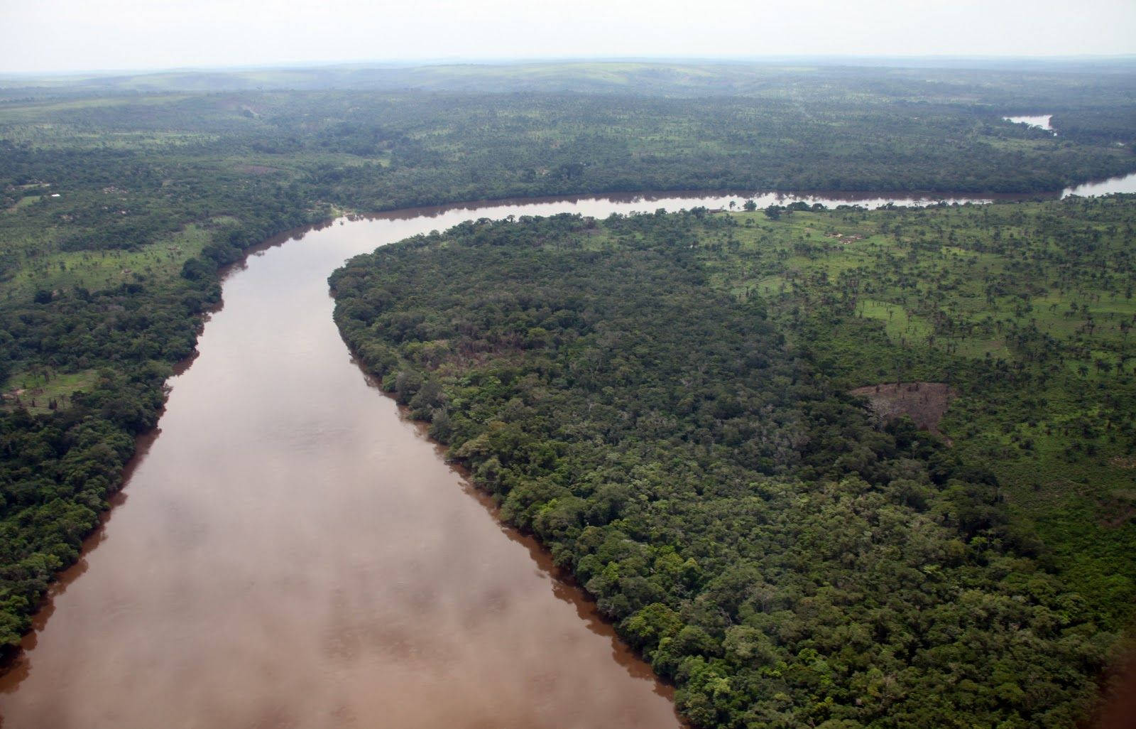 Congo Forest And Long River Wallpaper