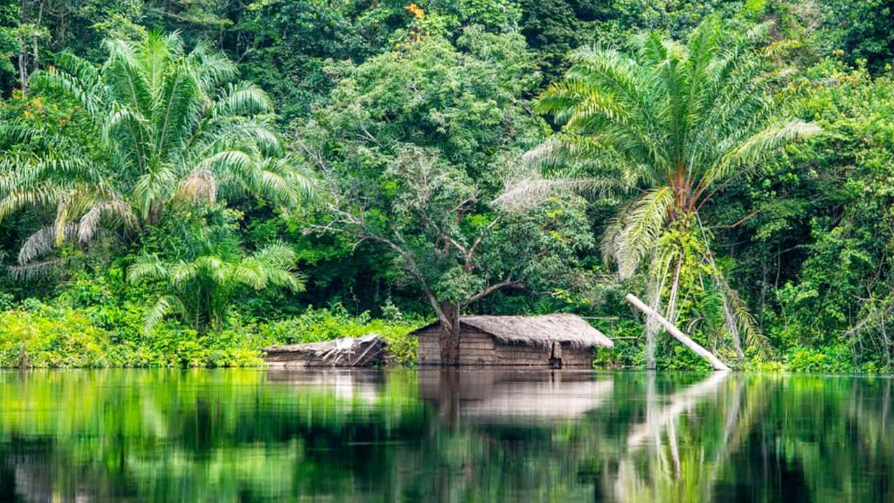 Reflectie Van Hut Aan De Congo Rivier Achtergrond