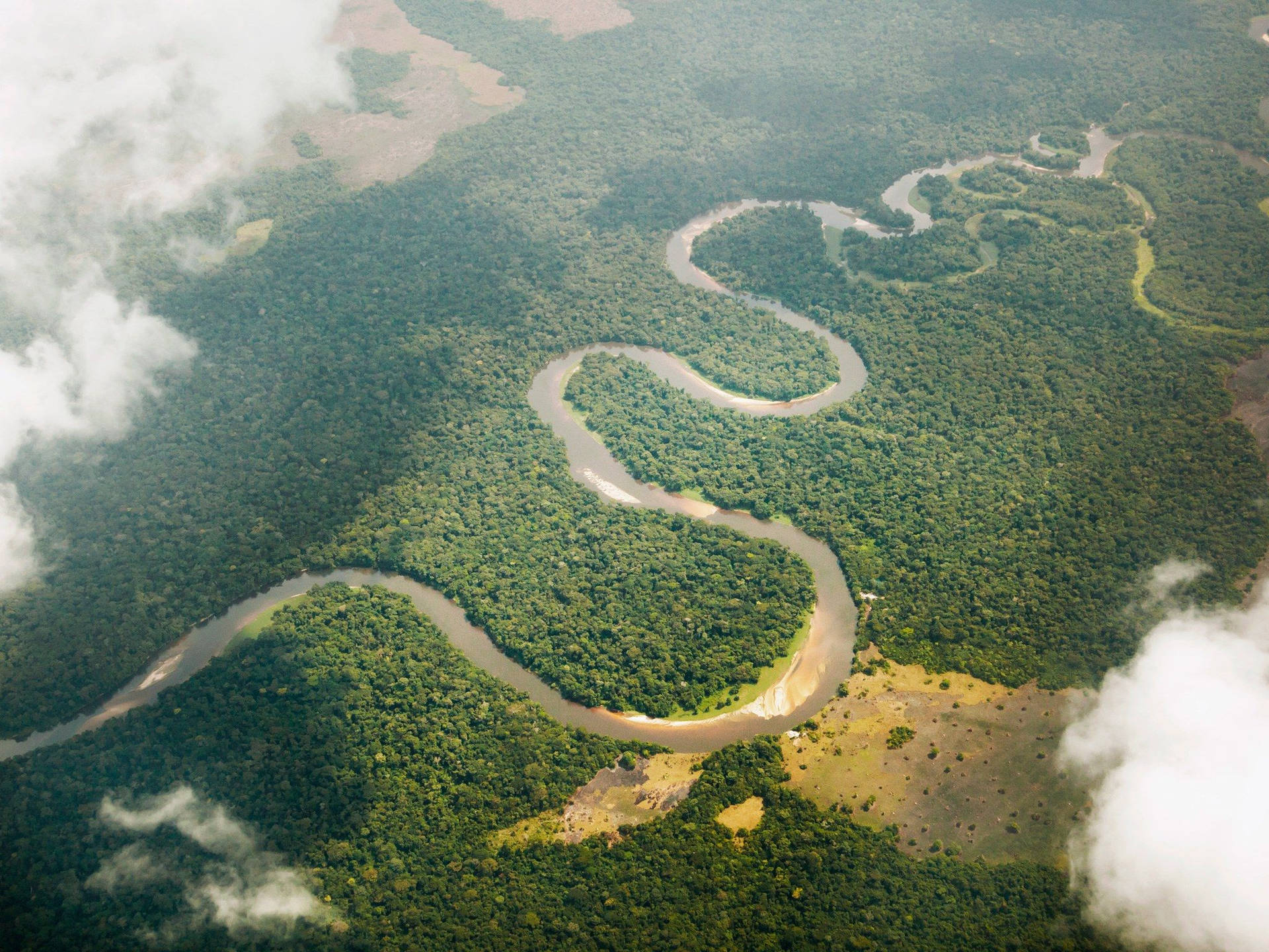 Congo Vast Rainforest Wallpaper