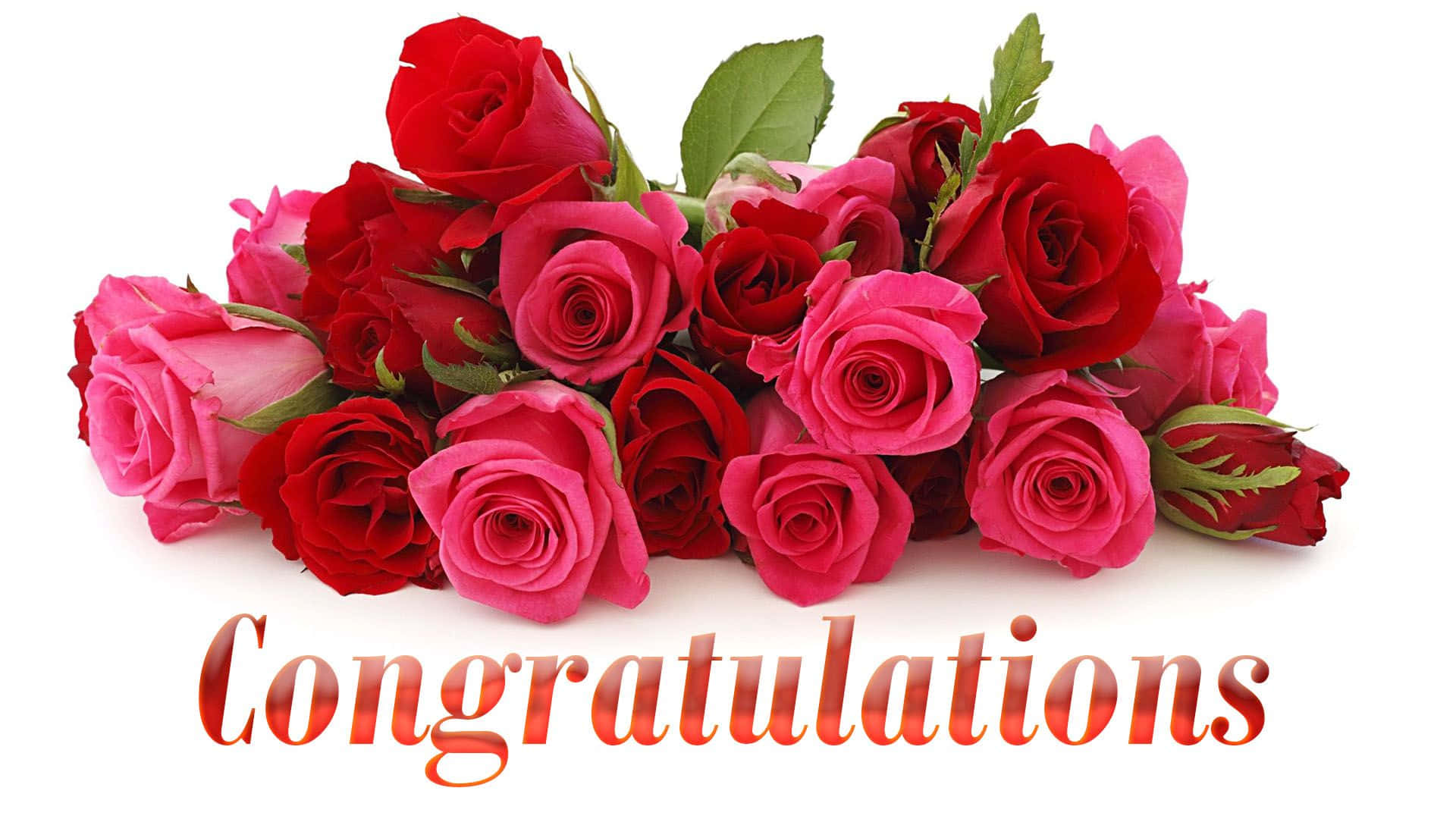 Red And Pink Roses Congratulations Picture