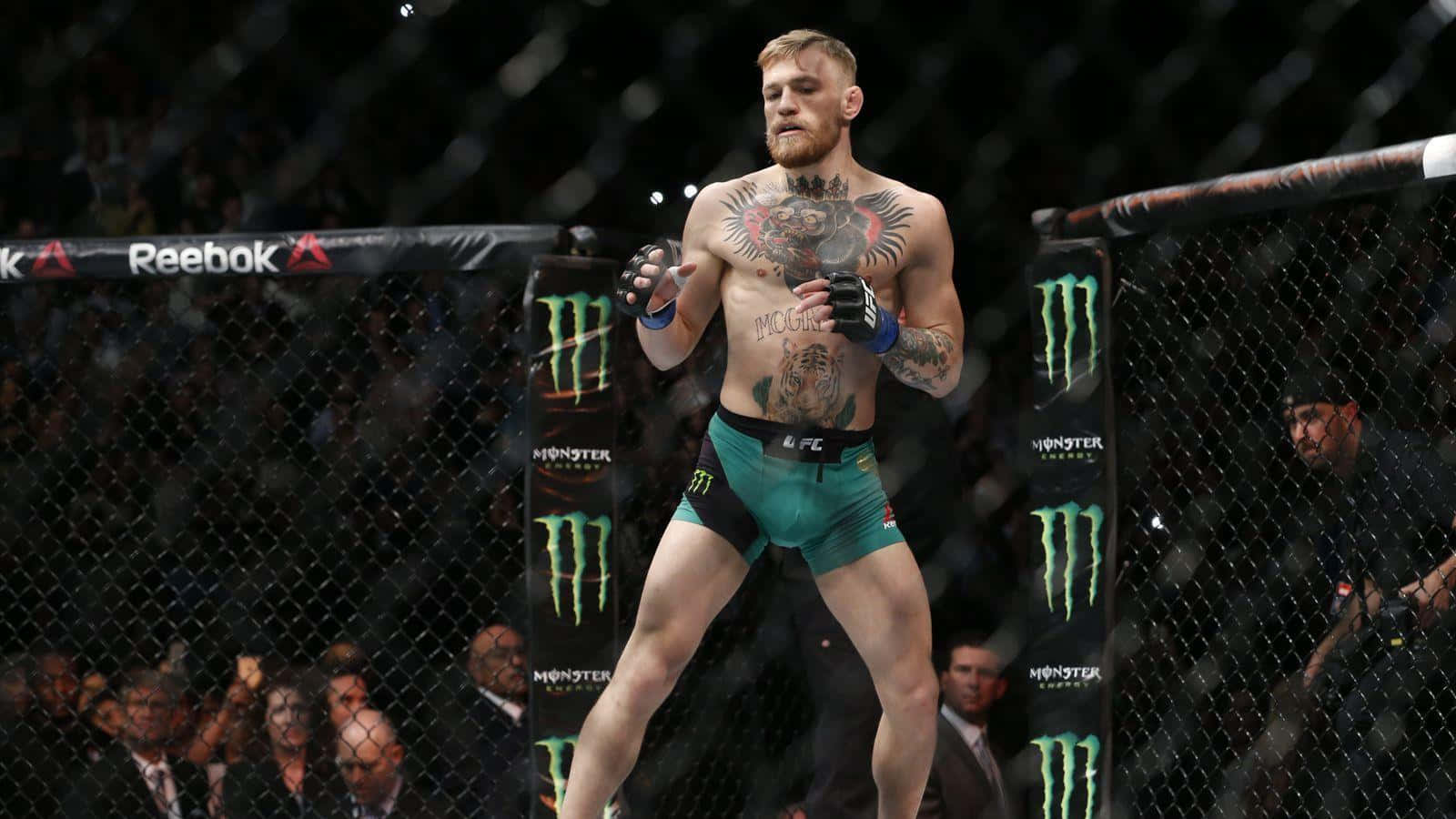 Conor McGregor rises above the competition