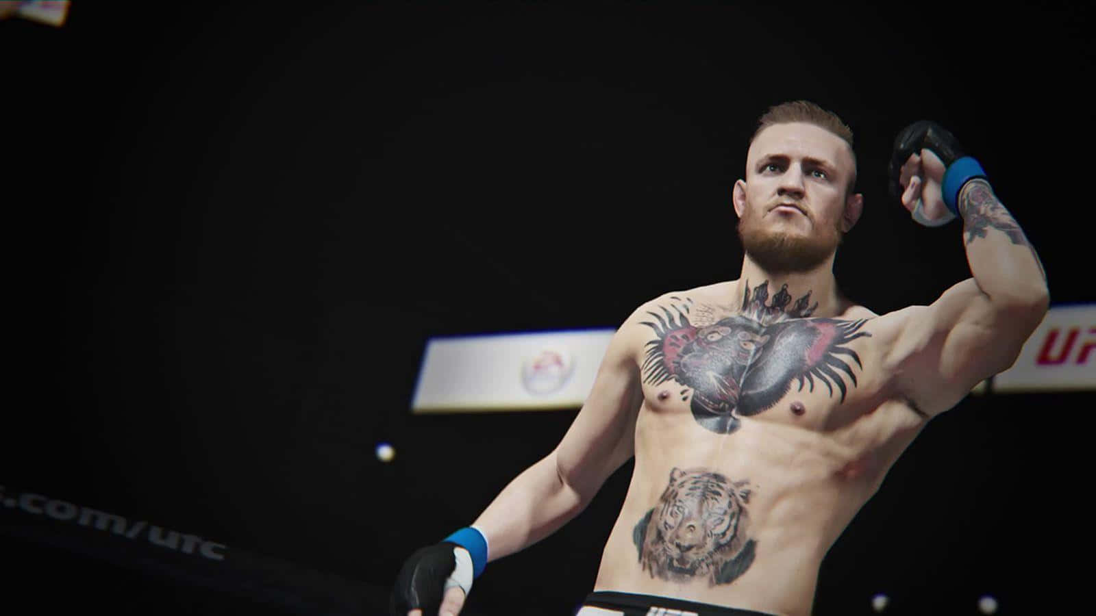 Legendary MMA Fighter Conor McGregor