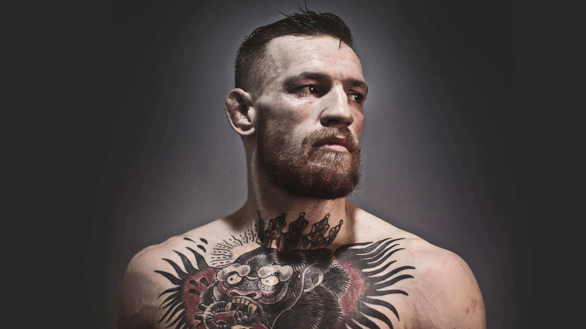 Conor McGregor - dominating the world's octagon