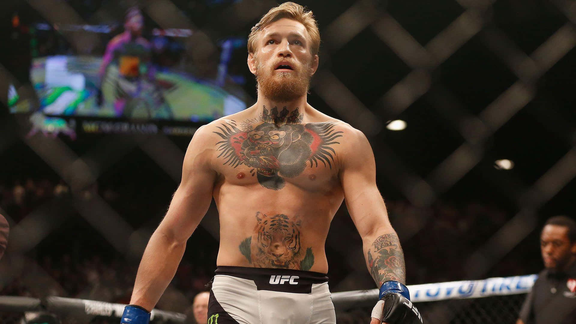 The Early Years of UFC Icon Conor McGregor