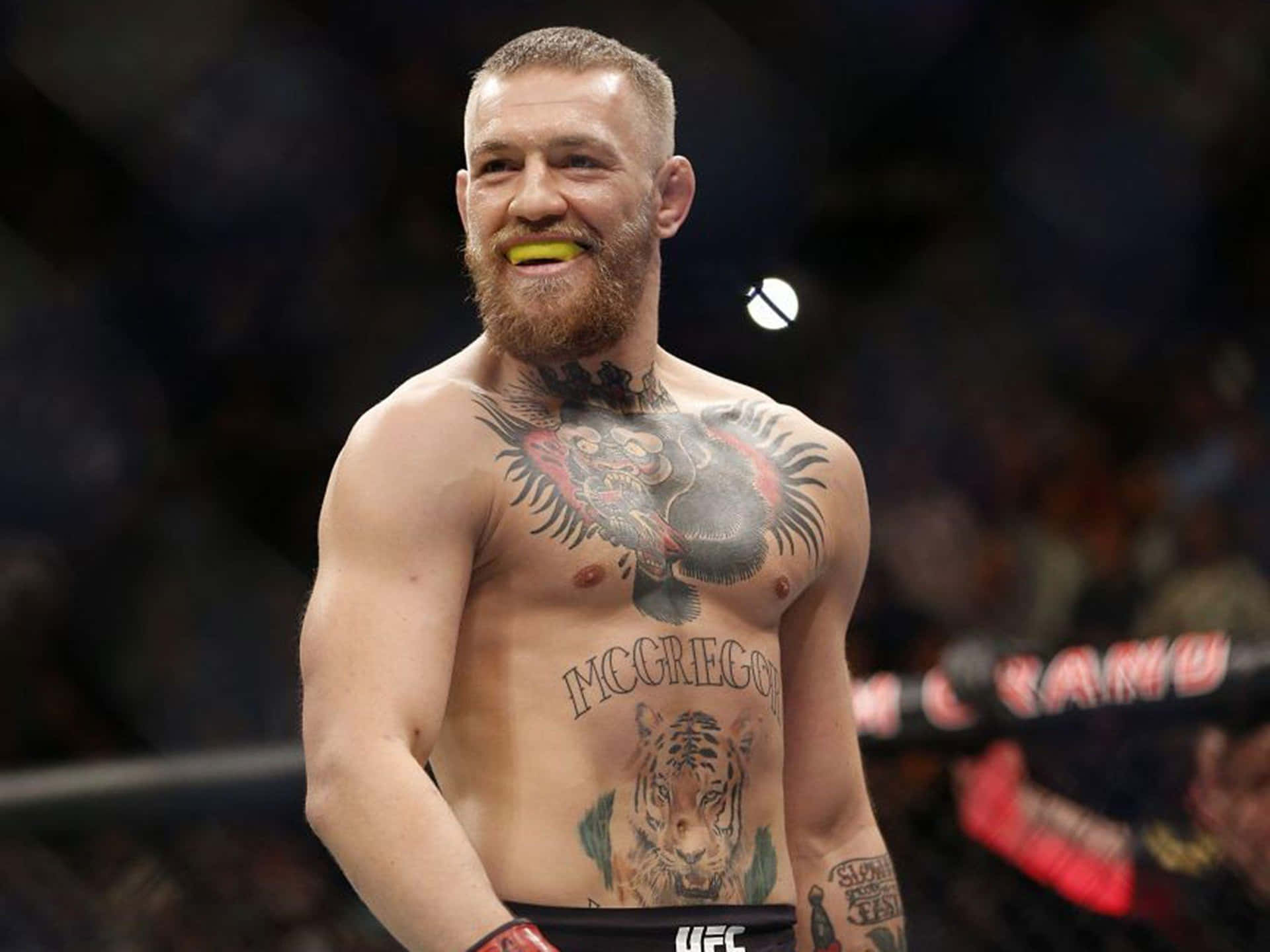 "Conor McGregor: Taking the MMA World by Storm"