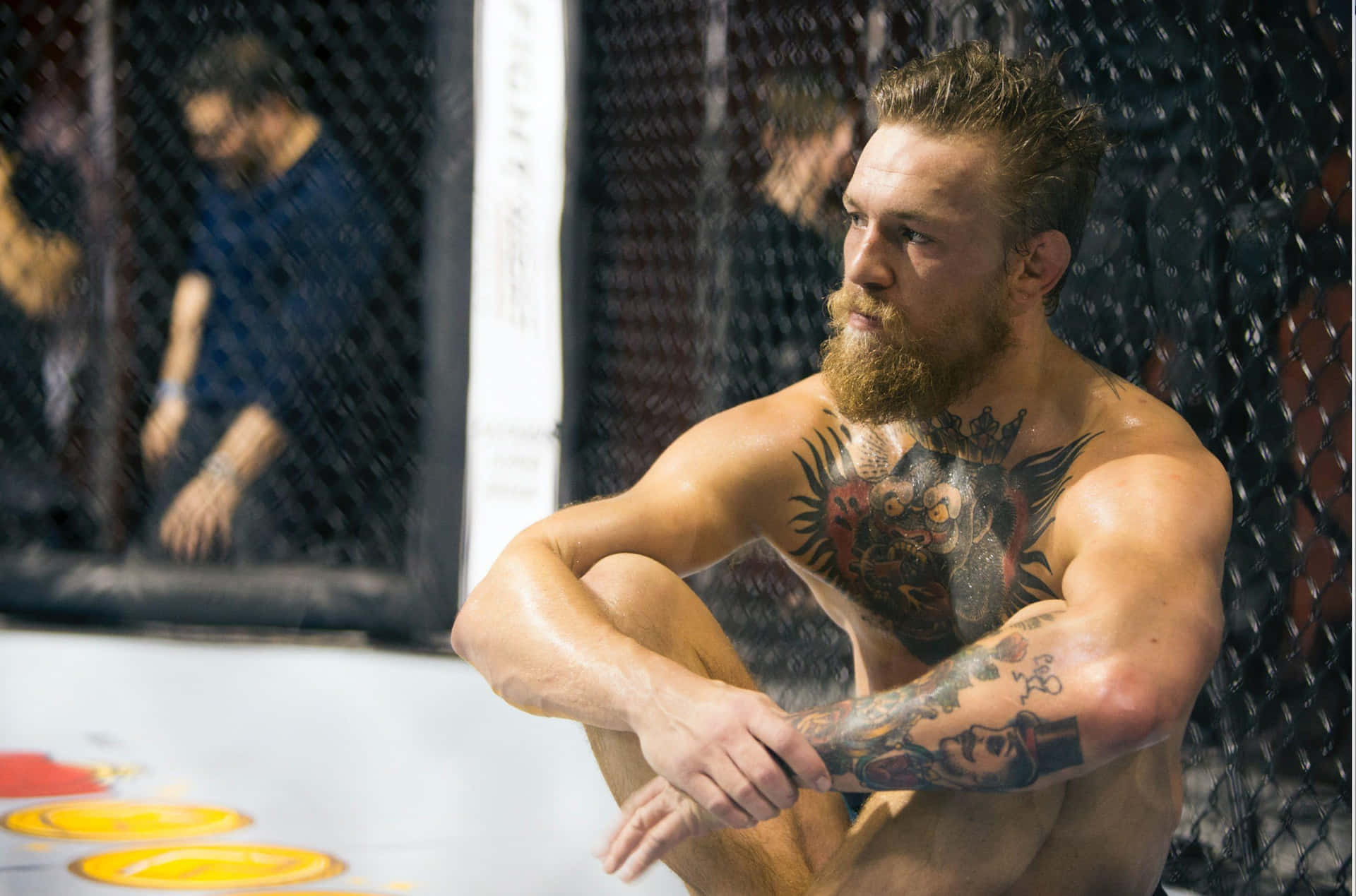 Conor McGregor, the Ultimate Fighting Championship superstar.
