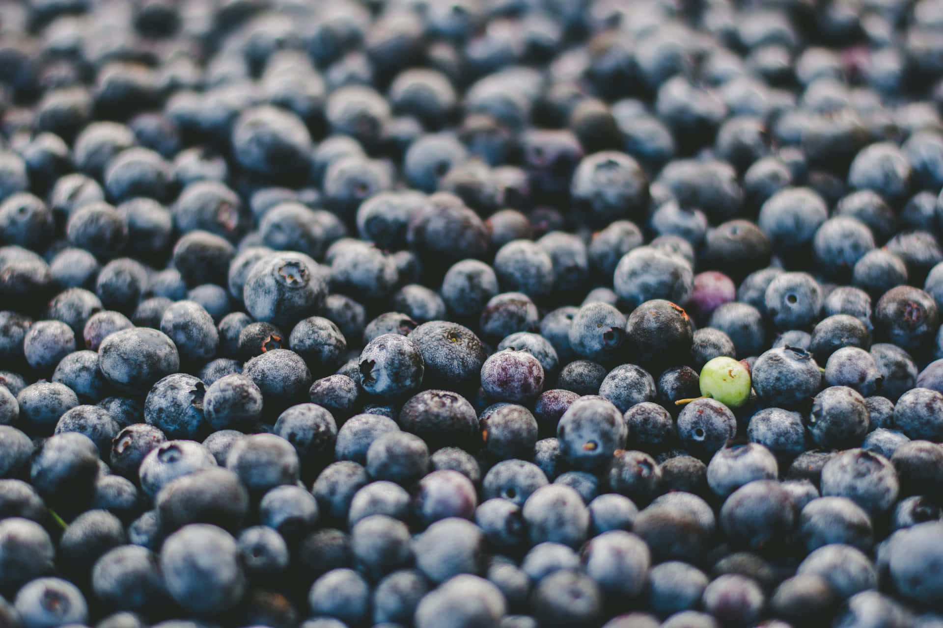 Conspicuous Green Berry Among Blueberries Wallpaper