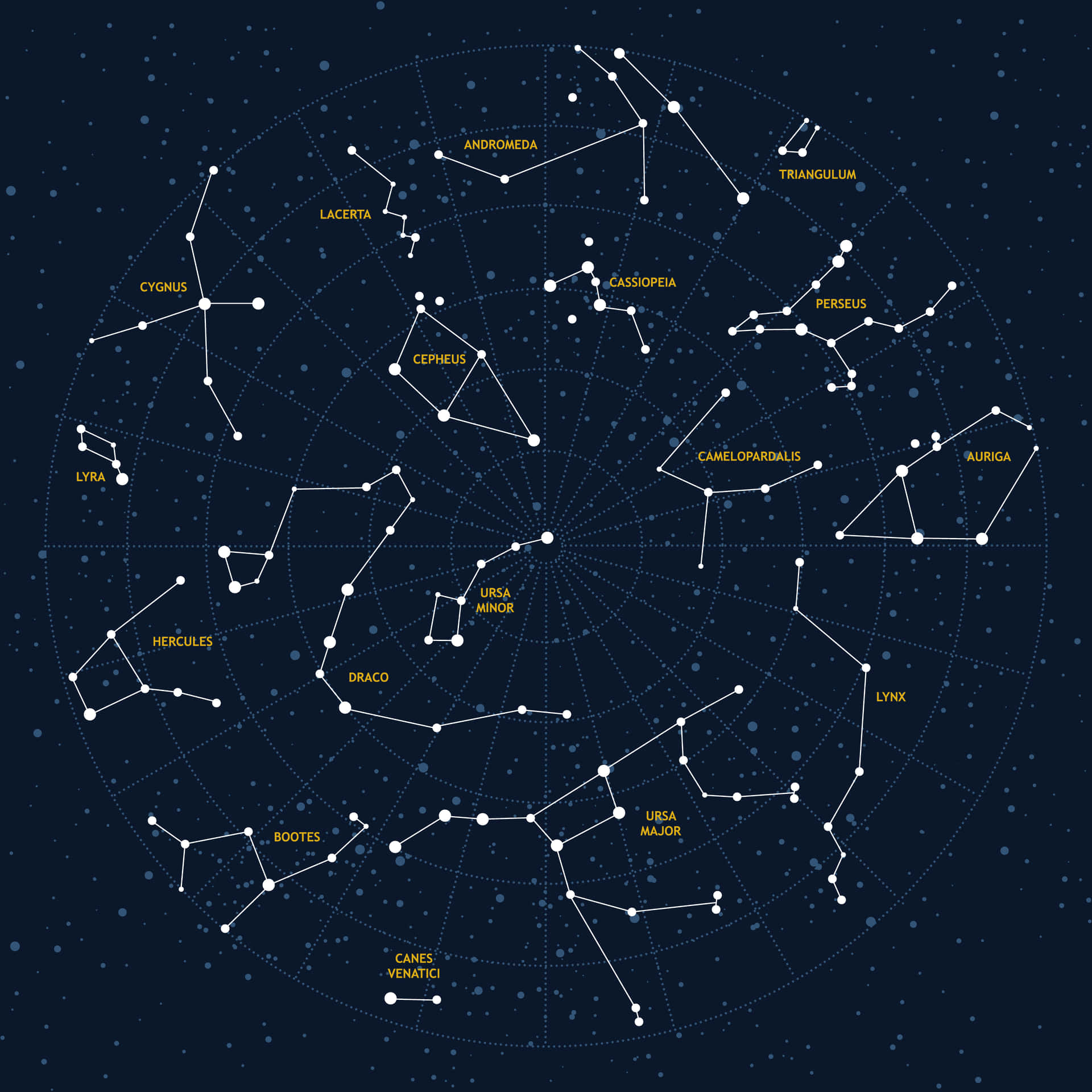 Starry Night Sky with Vibrant Constellations Wallpaper