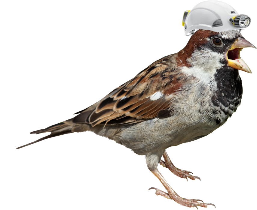 Construction Worker Sparrow.png PNG