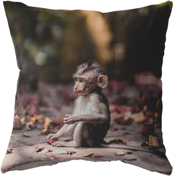 Contemplative Young Monkey PNG