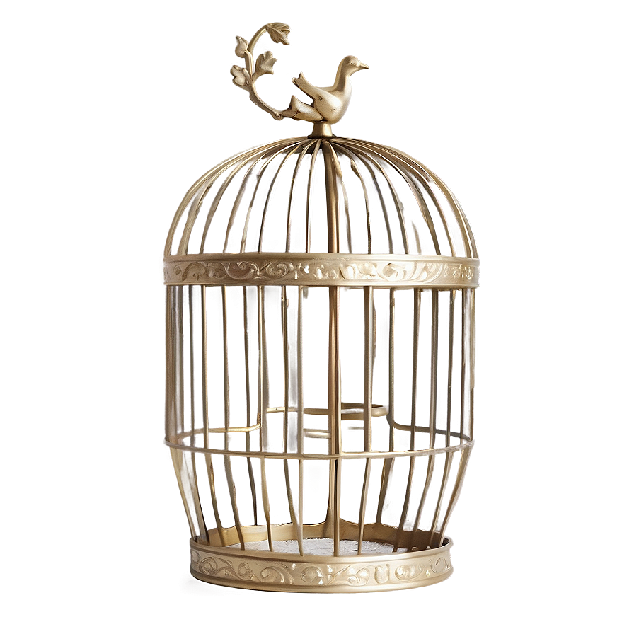 Download Contemporary Birdcage Png 05252024 | Wallpapers.com