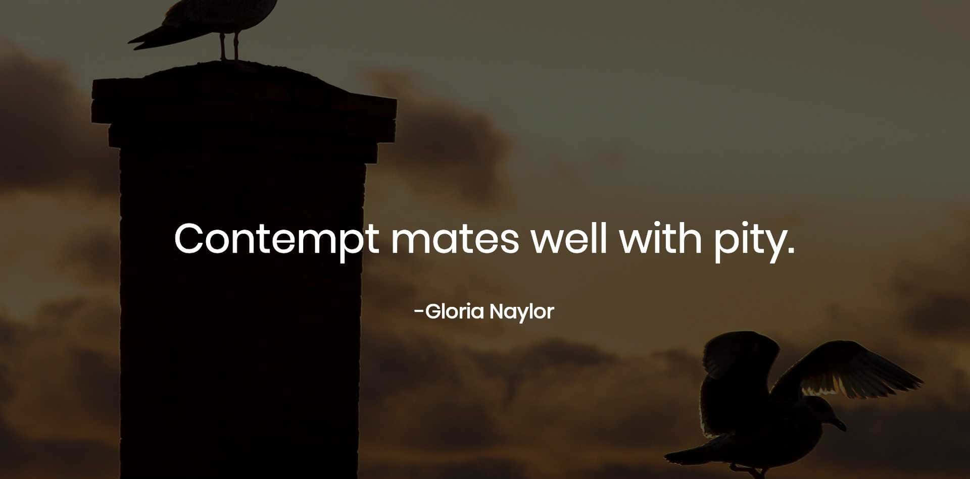 Contemptuous Quote By Gloria Naylor Wallpaper