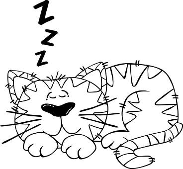 Contented Cat Cartoon PNG