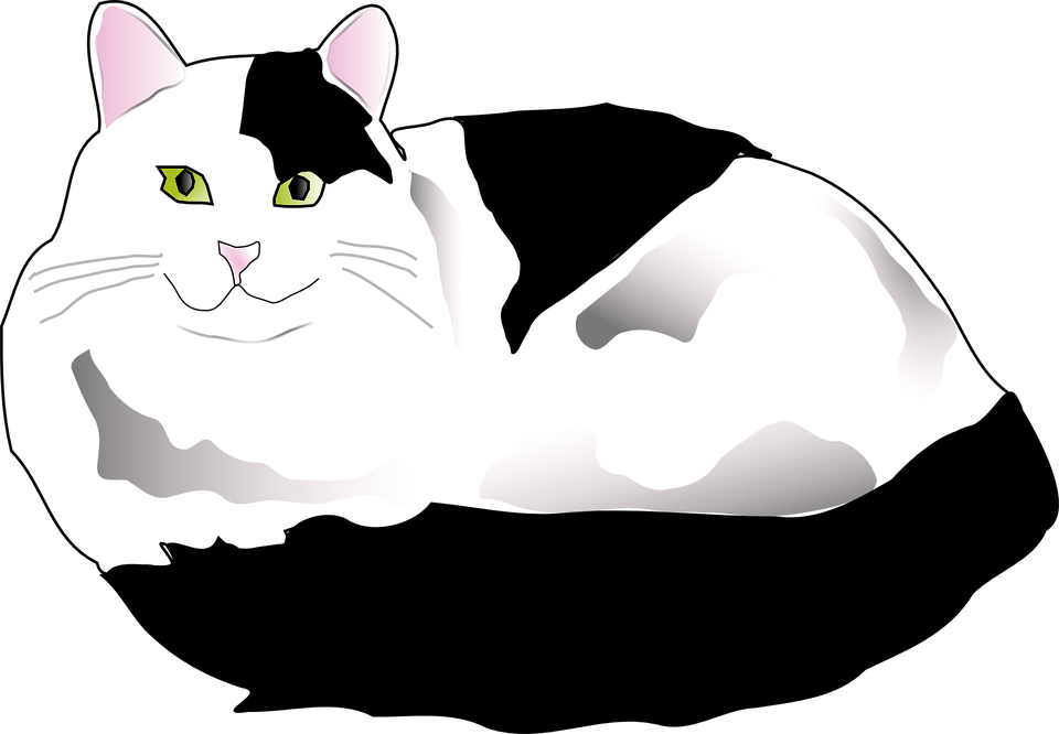 Contented Gray Cat Illustration PNG