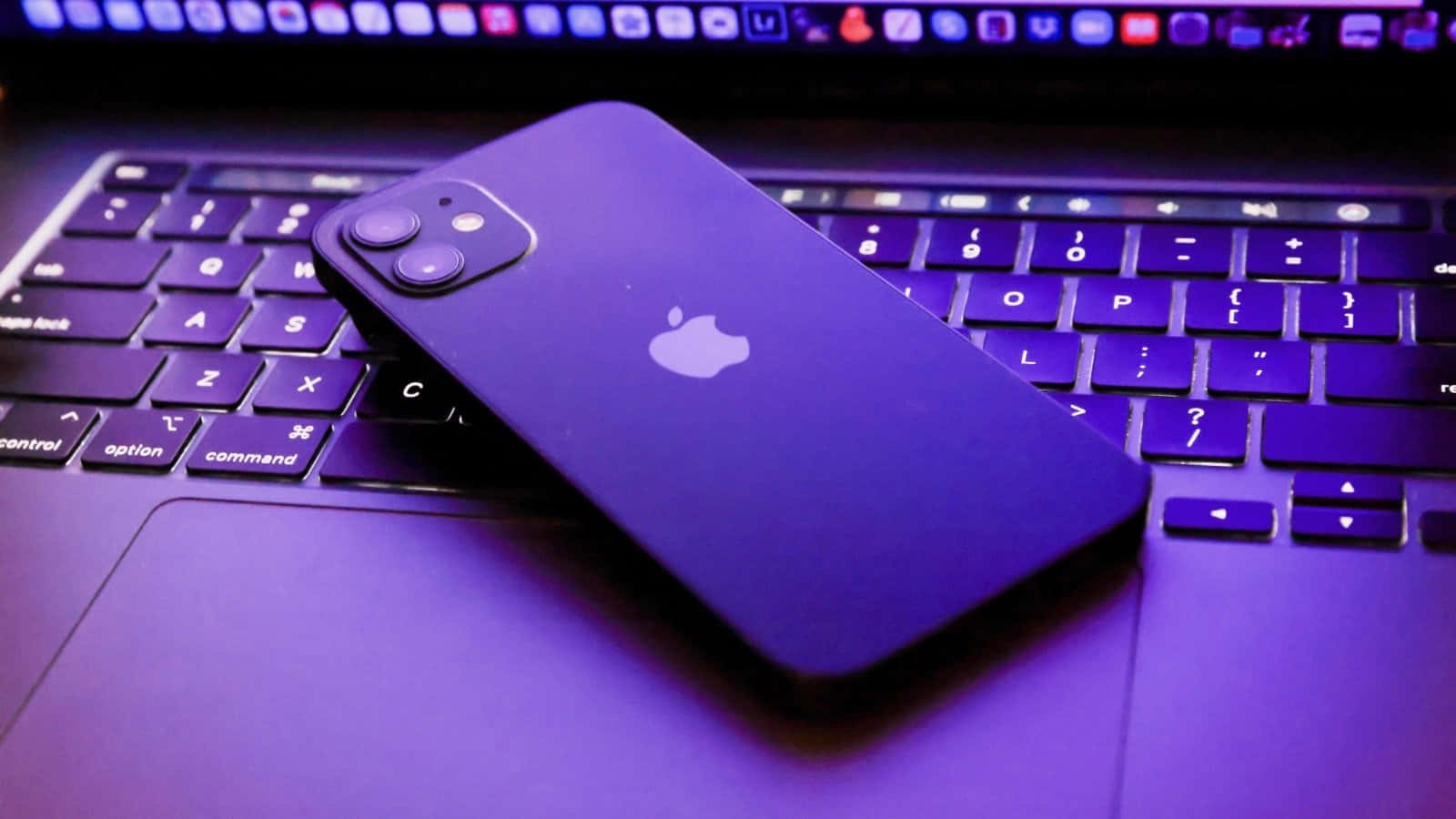 Controversial Purple Iphone 12 Wallpaper