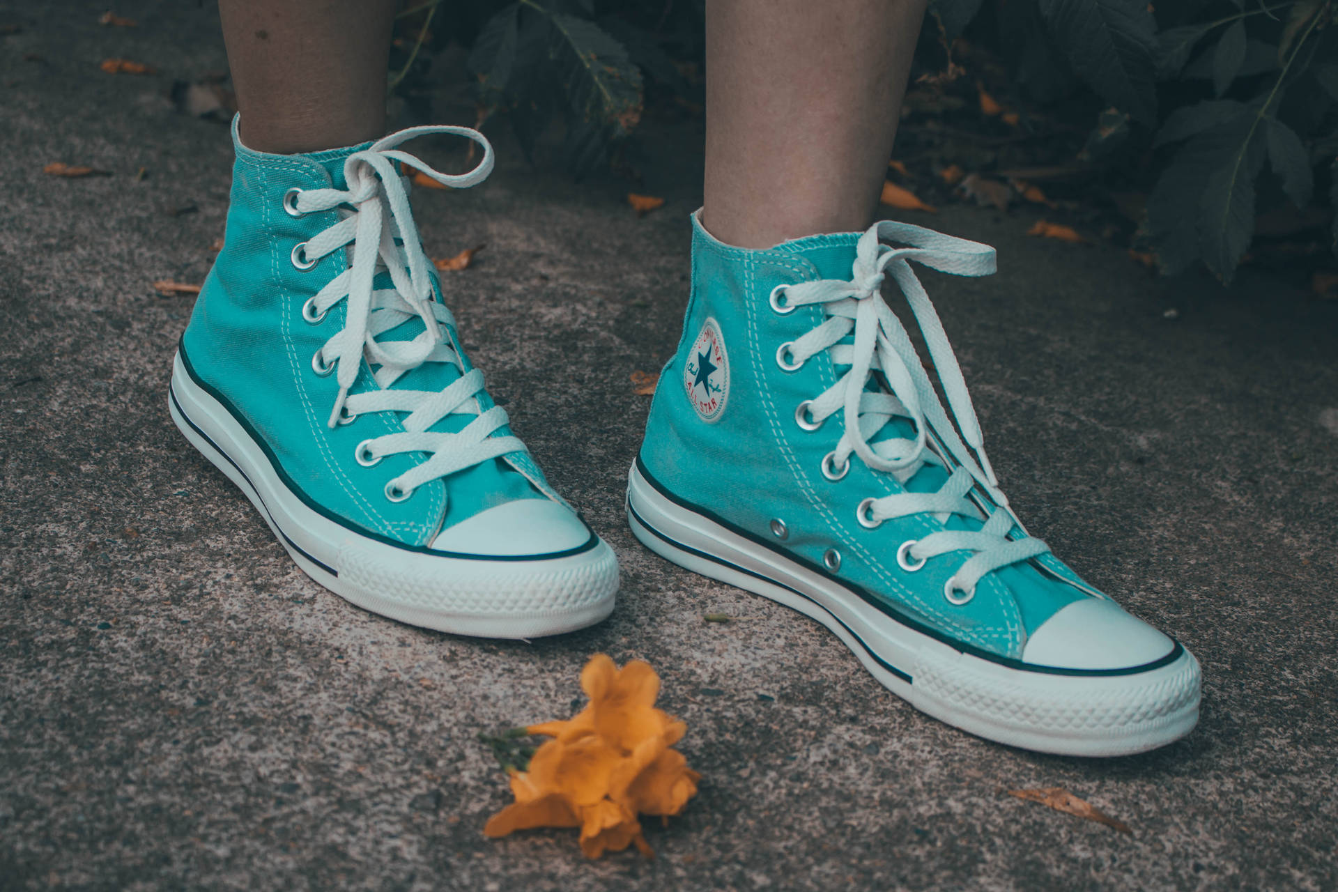 (translation: Patterned Wallpaper Featuring Teal Converse All-star High Top Sneakers.) Wallpaper