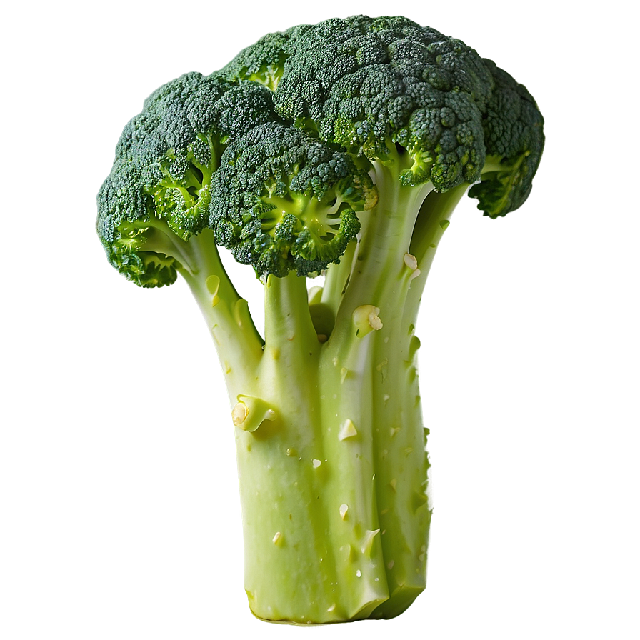 Download Cooked Broccoli Png Spy | Wallpapers.com