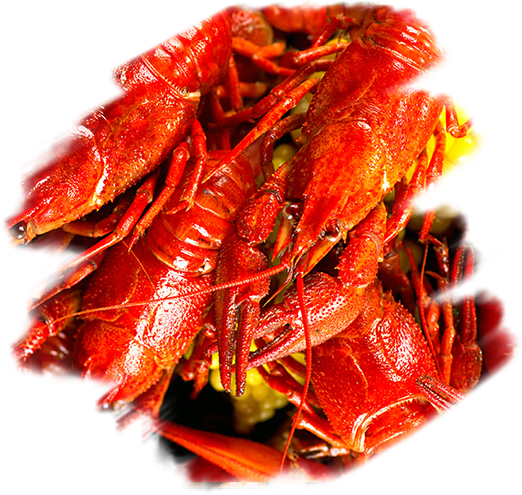 Cooked Crayfish Pile.png PNG
