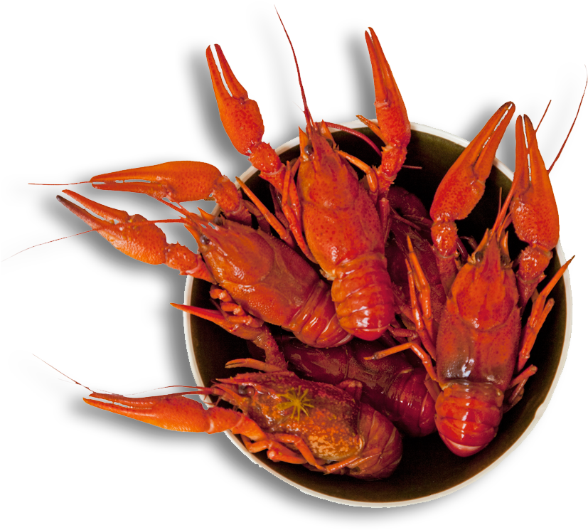 Cooked Crayfishin Bowl PNG