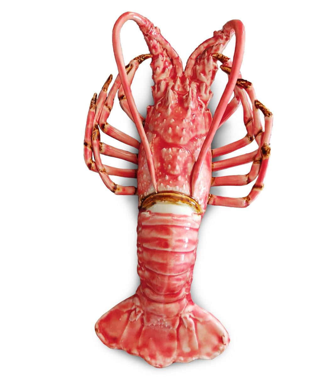Cooked Lobster Isolatedon White Background Wallpaper