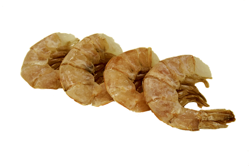 Cooked Shrimp Black Background PNG