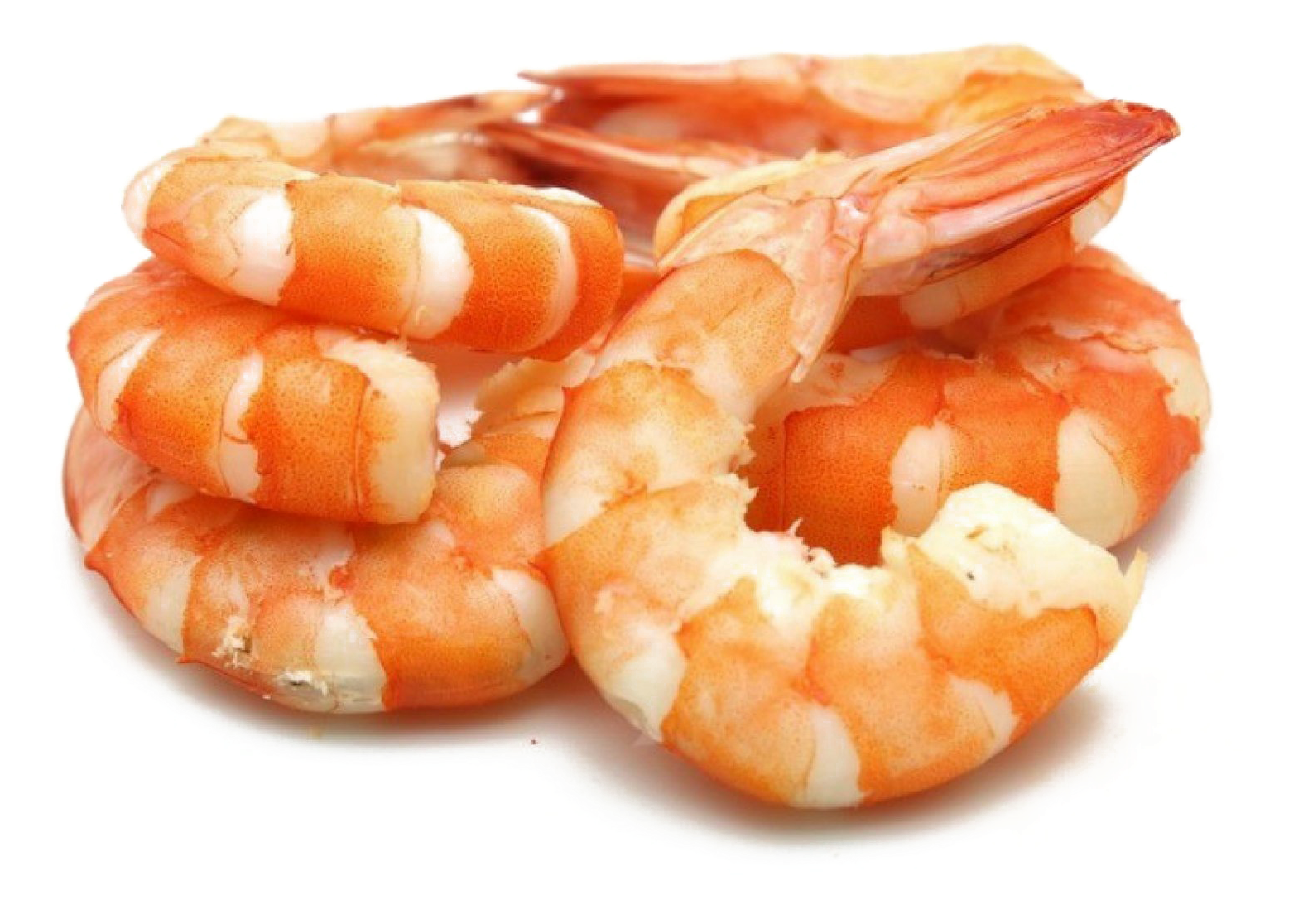 Cooked Shrimp Closeup.png PNG