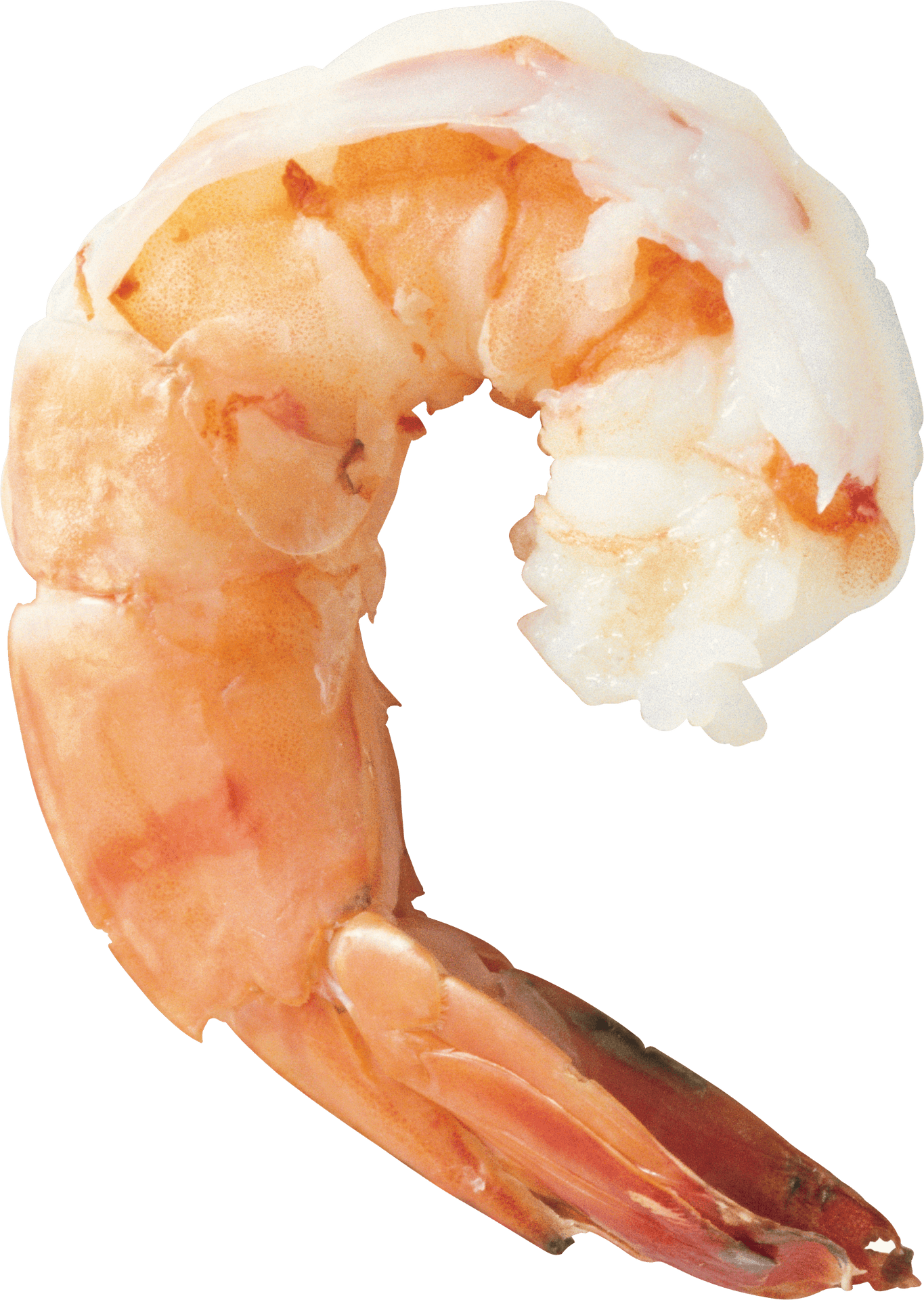 Cooked Shrimp Transparent Background PNG