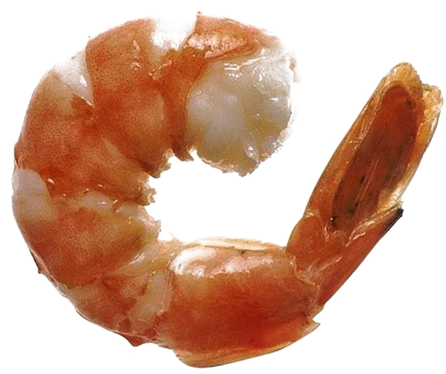 Cooked Shrimp Transparent Background PNG