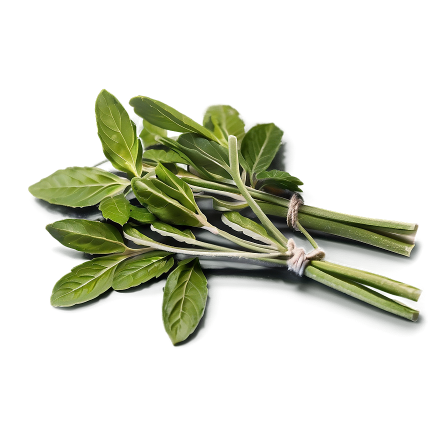 Download Cooking With Herbs Png Fmy | Wallpapers.com